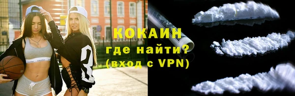 PSILOCYBIN Кинешма