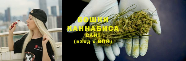 PSILOCYBIN Кинешма