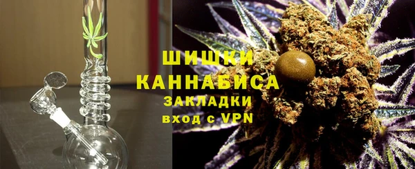 PSILOCYBIN Кинешма