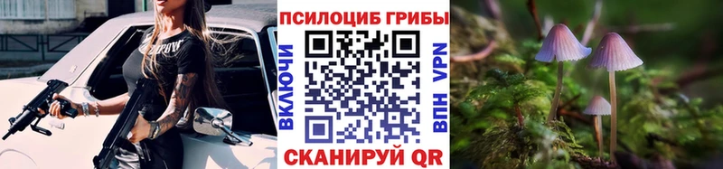 МЕГА ССЫЛКА  Челябинск  Псилоцибиновые грибы Psilocybine cubensis 